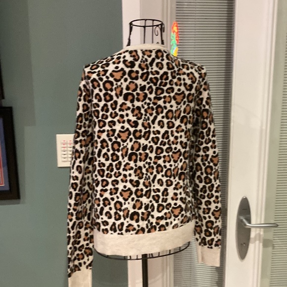 Sweater - Picture 4 of 4